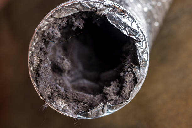 Best Air Duct Cleaning Near Me  in East Falmouth, MA